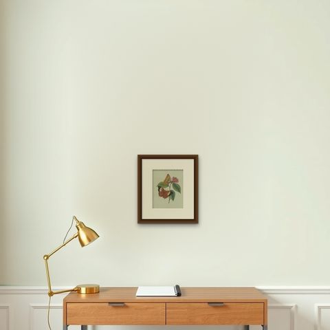 Original Antique Print of a Flower & Butterflies, Beautiful Hand Coloring, 1800, shown framed on a wall, true to size