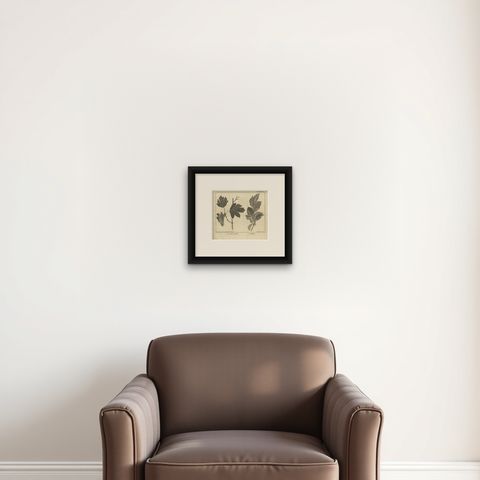 Antique Botany Print of Little Maple and Beechwood, 1752, shown framed on a wall, true to size