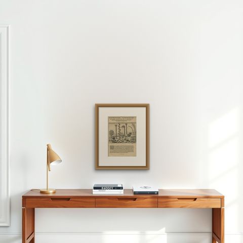 Botanical Illustration of Saint Lawrence's (Madagascar) Seeds and Plants, 1601, shown framed on a wall, true to size