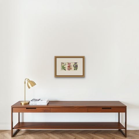 Set of 3 Antique Botany Prints, Chocolate Lily, Gladiolus, Tibouchina Elegans, shown framed on a wall, true to size