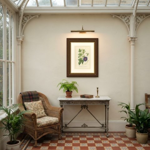 Japanese Morning Glory Caerulea Variegata, Pharbitis Polymorpha, 1858, shown framed in a room, true to size