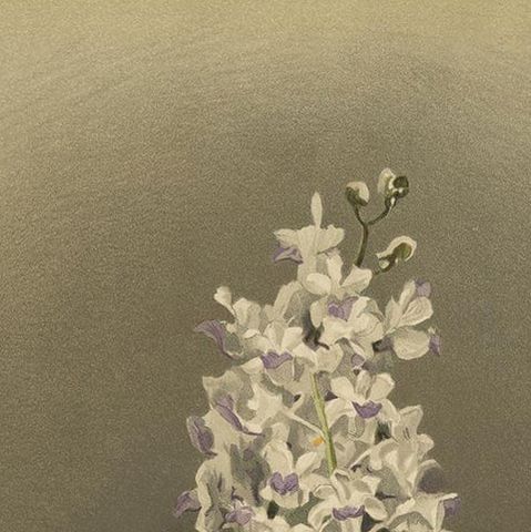 Antique Botanical Print, Lavender-White Orchid Saccolabium coeleste, ca.1888, close-up 5