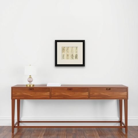 Set of 8 Antique Botanical Engravings of Avena, Arundo & Meadow Grasses, c.1830, shown framed on a wall, true to size