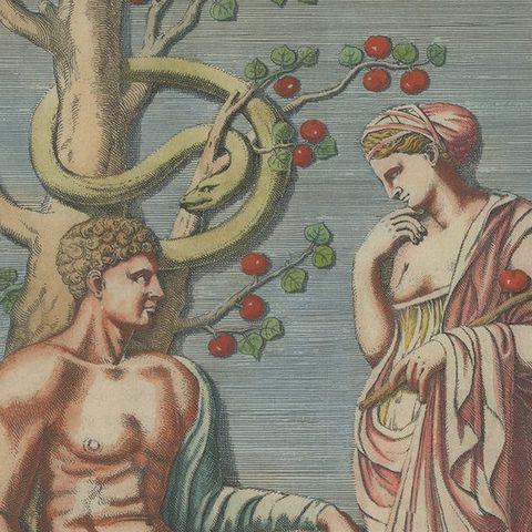 Antique Print of Hercules in the Garden of the Hesperides by Ferrari '1646', close-up 2
