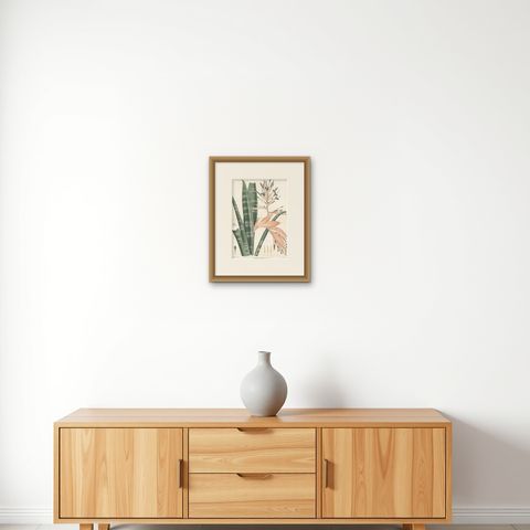 Antique Botany Print of a Billbergia Plant Species by De Vriese '1855', shown framed on a wall, true to size