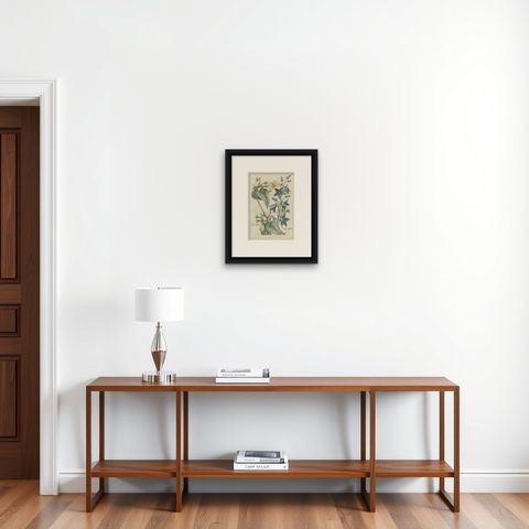 Antique Hand-Colored Flower Print of Campanula Plants, 1794, shown framed on a wall, true to size