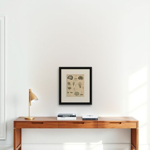 Antique Lichen Botanical Print, Dye & Chemical Species, c.1831, shown framed on a wall, true to size