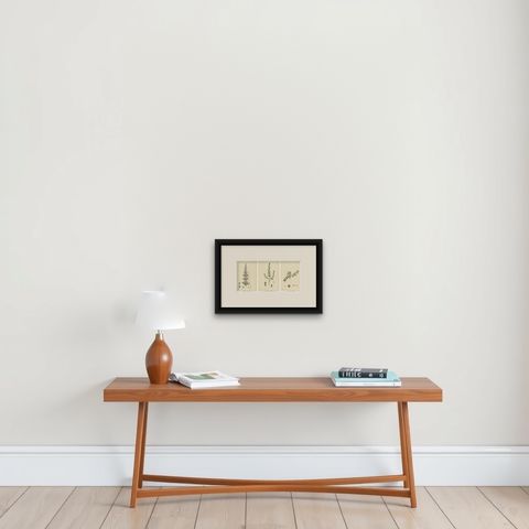 Botanical Engravings of Purple Loosestrife, Grass-Poly and Water-Purselane, 1902, shown framed on a wall, true to size