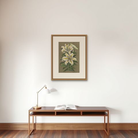 Antique Botany Print of the Lilium Auratum by Van Houtte, 'circa 1862', shown framed on a wall, true to size