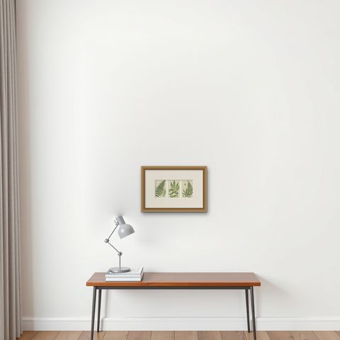 Lanceolate, Black Spleenwort & Wall Rue, Botanical Triptych, 1873, shown framed on a wall, true to size