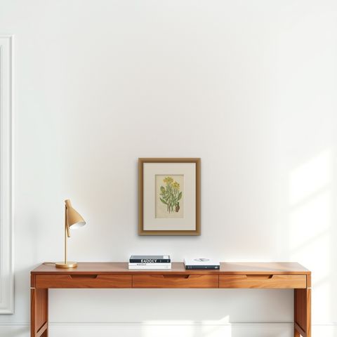 Beautiful Antique Botany Print of Wild Radish, c.1860, shown framed on a wall, true to size