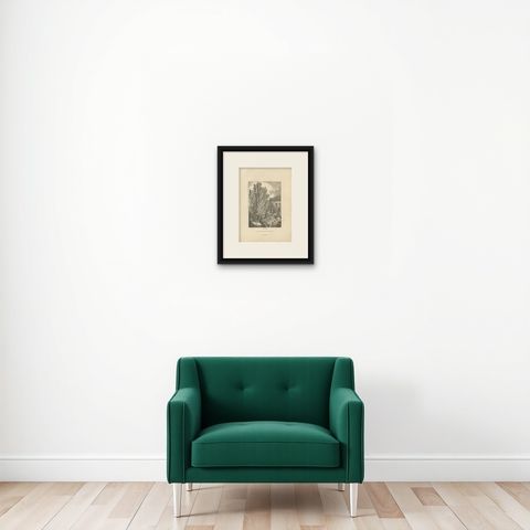 Antique Print of Laurus Nobilis or Laurel, an Aromatic Evergreen Tree, shown framed on a wall, true to size