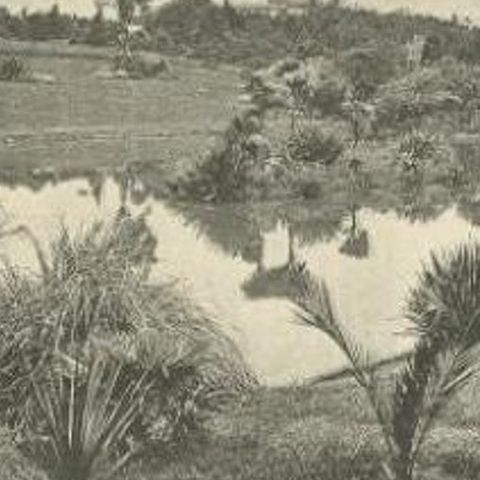 Antique Print of the Royal Botanic Gardens of Melbourne, Australia, c.1890, close-up 2