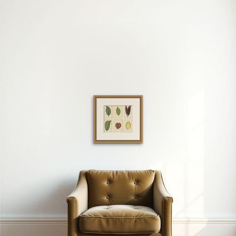 Set of 6 Botany Prints, Gesnera Cinnabarina, Dracaena Perrea (1891), shown framed on a wall, true to size