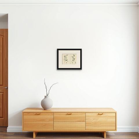 British Hedge-Parsley Botanical Pair, Hand-Colored Engravings, England 1902, shown framed on a wall, true to size