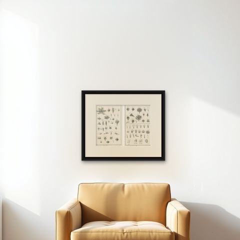 Pair of Antique Botanical Engravings, Tournefort & Linnæus Systems, ca. 1770, shown framed on a wall, true to size