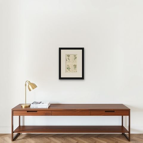 Four Antique English Botanical Herb Prints, Elegant Green Umbellifers, 1902, shown framed on a wall, true to size