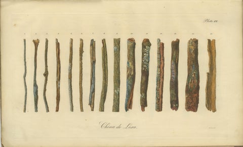 Cinchona Bark Varieties: A Rare Hand-Colored Illustrated Botanical Atlas (1826), view 7