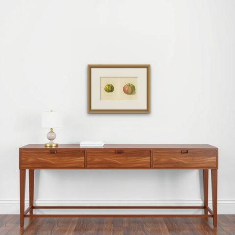 Set of 2 Antique Prints of the Gravenstein Apple and Alexander Apple, shown framed on a wall, true to size