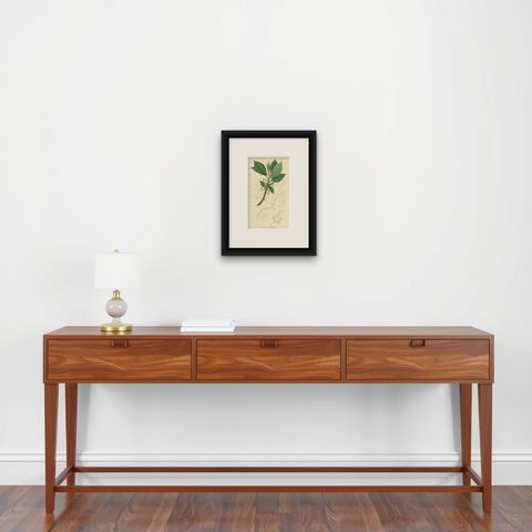 Antique Botany Print of the Sassafras Tree by G. Reid, 1831, shown framed on a wall, true to size