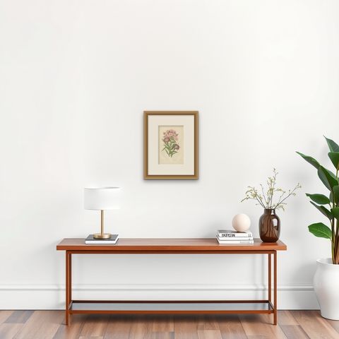 Antique Botany Print of Common Soap-Wort, c.1860, shown framed on a wall, true to size