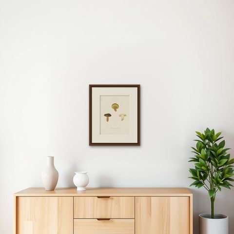 Antique Mycology Print of the Boletus Aereus by Fries, c.1860, shown framed on a wall, true to size