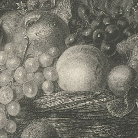 Antique Print of a Still life with a Basket of Autumn Fruit and Brambles, ca1860, close-up 3