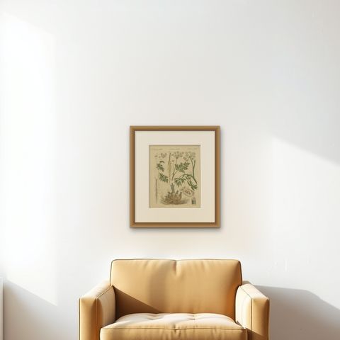 Chervil, Parsley and Celeriac Kitchen Herbs, Antique Bertuch Print, circa 1802, shown framed on a wall, true to size