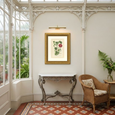 Japanese Morning Glory Punicea Picta, Pharbitis Polymorpha Plate V, 1858, shown framed in a room, true to size