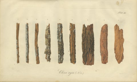 Cinchona Bark Varieties: A Rare Hand-Colored Illustrated Botanical Atlas (1826), view 4