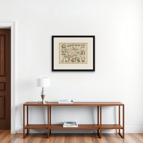 Agaricus Mushrooms, Antique Botanical Lithograph, German Mycology 1885, shown framed on a wall, true to size