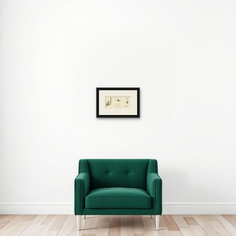 Hand-Colored Botanical Engravings of Naval-wort and Mountain Saxifrages, 1902, shown framed on a wall, true to size