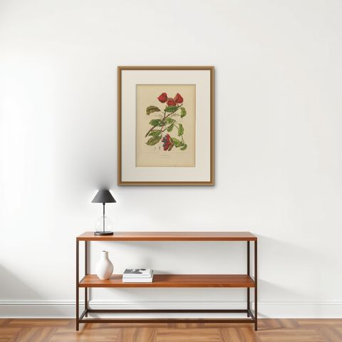 Original Antique Botanical Chromolithograph of Chinese Sterculia, c. 1880, shown framed on a wall, true to size