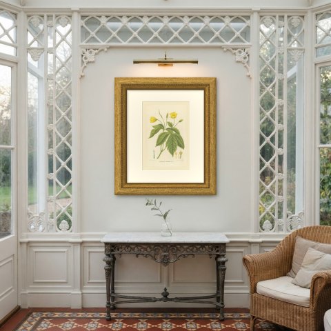 Chelidonium Japonicum, Yellow Flowered Poppy Chromolithograph, 1859, shown framed on a wall, true to size