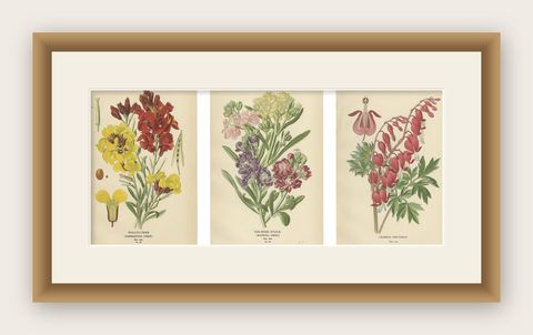 Charming Florals of the Victorian Era: A Collection of Antique Prints, 1896, shown framed