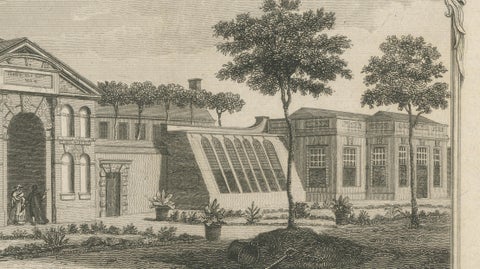 Antique Oxford Botanic Garden Engraving, Oxford Almanack, Benjamin Green, 1820, close-up 6