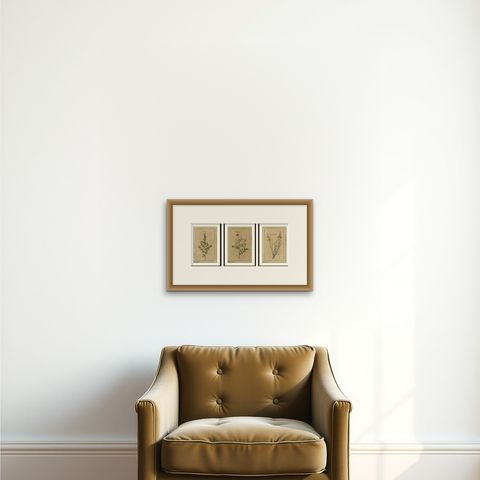 Decorative Set of 3 Antique Botanical Prints, Wildflowers of Leipzig 1690s, shown framed on a wall, true to size