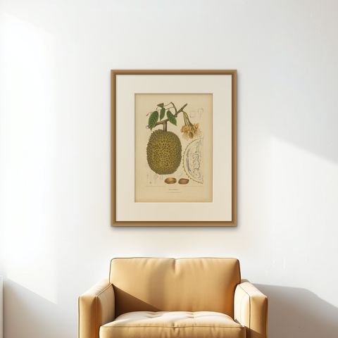 Antique Durian Botanical Chromolithograph by Hoola van Nooten, c. 1880, shown framed on a wall, true to size