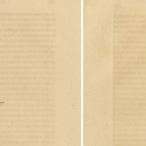 Orchid & Cotton Elegance: A Botanical Legacy in Bloom, Old Engravings of 1845, close-up 1