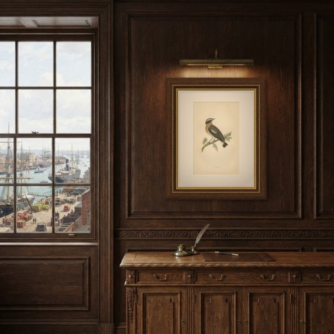 Whinchat on a Conifer Twig, Hand Colored Wood Engraving, Morris, 1896, shown framed in a room, true to size