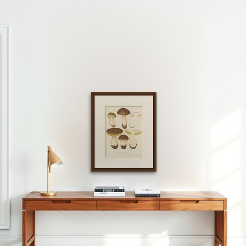 Antique Mycology Print of Boletus Edulis by E.M. Fries, circa 1860, shown framed on a wall, true to size