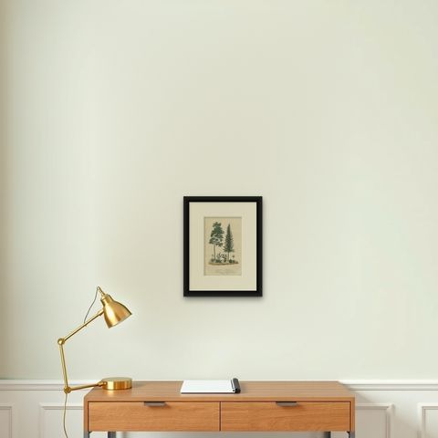 A Heritage of Flora: Original Antique Engraving of Diverse Plant Species, 1845, shown framed on a wall, true to size