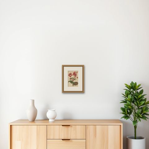 Hybrid Begonia Botanical Illustration by Louis van Houtte, 19th Century, shown framed on a wall, true to size