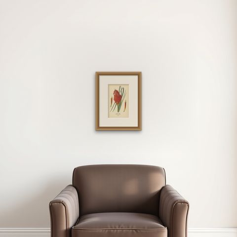 1897 Chromolithograph of the Flame Flower from Step's Botanical Collection, shown framed on a wall, true to size