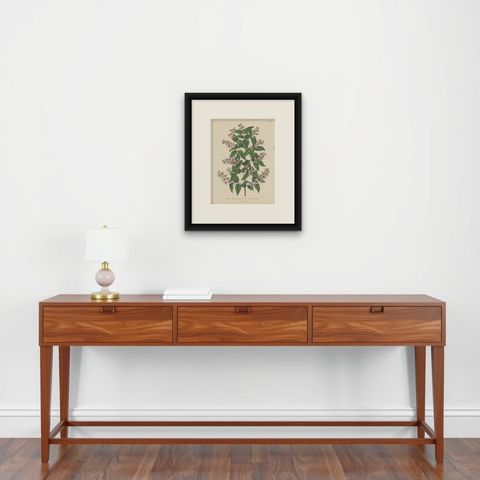 Antique Handcolored Flower Print of the Deutzia Crenata, 1868, shown framed on a wall, true to size