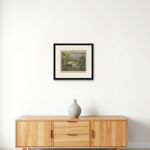 Antique Print of various Aquatic Plants by Meyer 'c.1895', shown framed on a wall, true to size