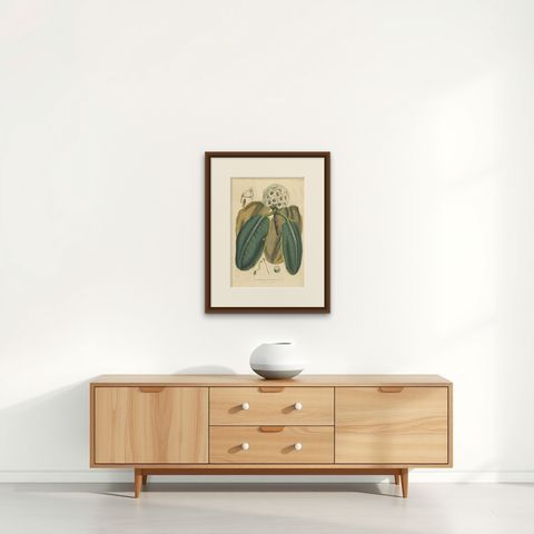 Large Antique Botany Print of The Falconer Rhododendron by Van Houtte, 1849, shown framed on a wall, true to size