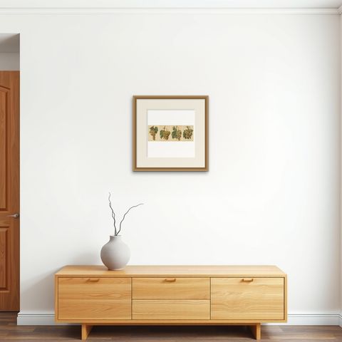 Set of four Antique Prints of Green / White Grape Varieties, shown framed on a wall, true to size