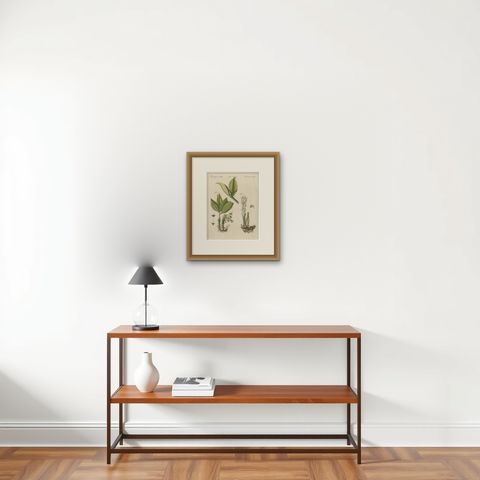 Zedoary and Grains of Paradise Spice Plants, Antique Bertuch Print, circa 1805, shown framed on a wall, true to size