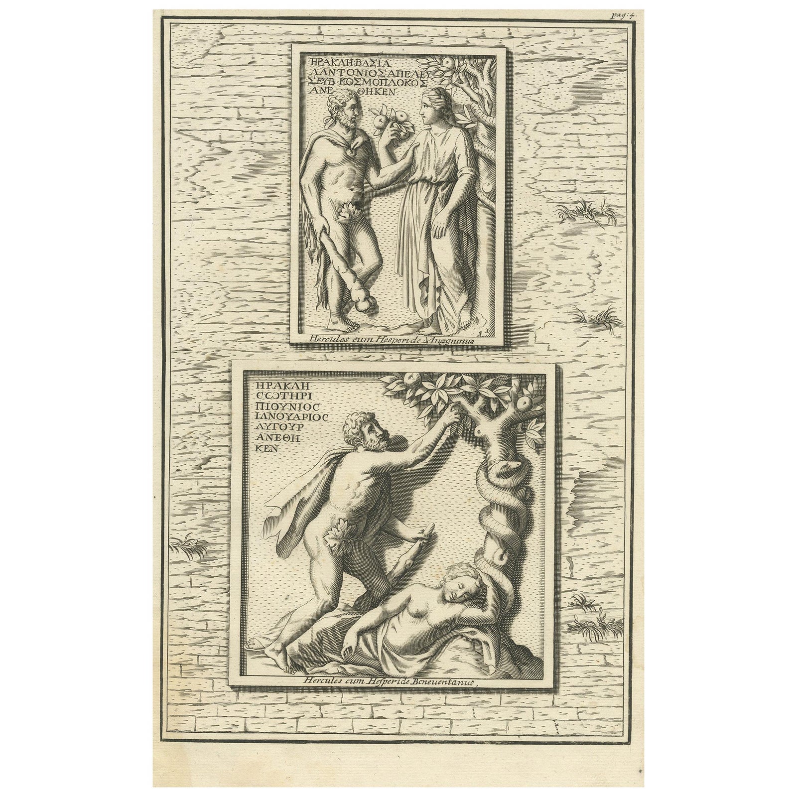 Antique Print of Hercules in the Garden of Hesperides by Volckamer, circa 1710